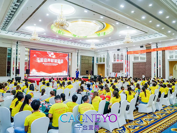 美业培训团队